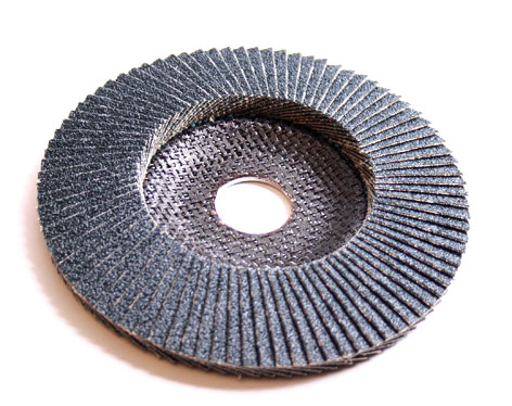 lammelenschijfsia lammelenschijfsia